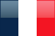 mini logo